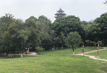 塔子山公园第 50 张图片