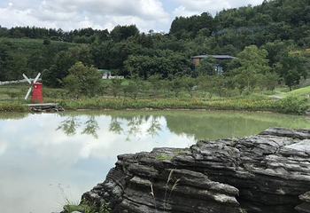 千岛湖石林景区第 72 张图片