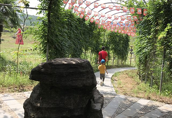 千岛湖石林景区第 71 张图片