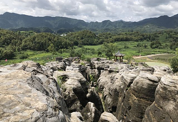 千岛湖石林景区第 69 张图片
