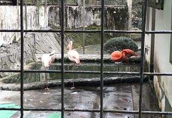 温州动物园第 27 张图片