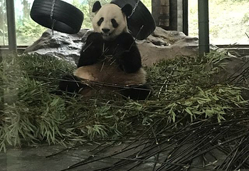 温州动物园第 25 张图片