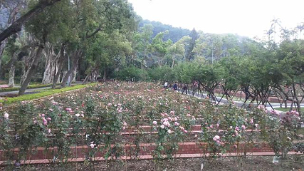 士林官邸公园第 18 张图片