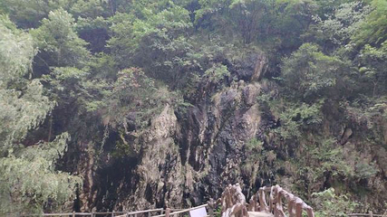 养子沟第 31 张图片