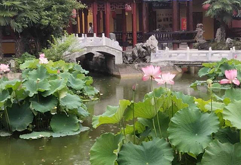 八里河旅游区第 69 张图片