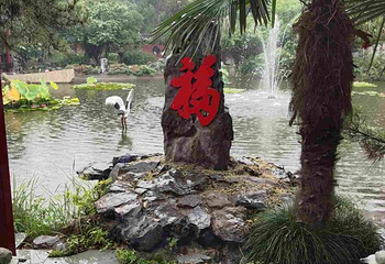 八里河旅游区第 66 张图片