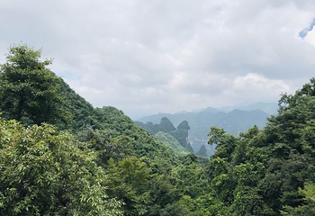 柴埠溪大峡谷第 24 张图片