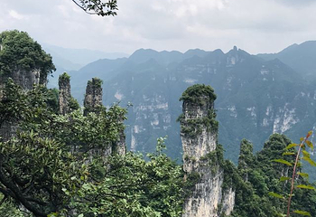 柴埠溪大峡谷第 22 张图片