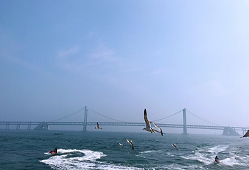 星海公园第 58 张图片