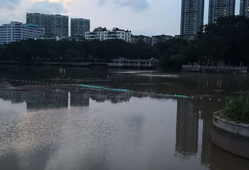 流花湖公园第 50 张图片