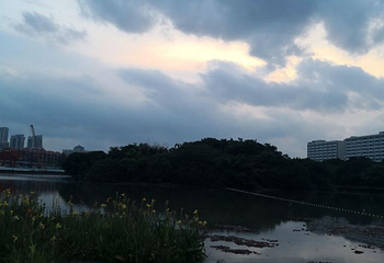 流花湖公园第 48 张图片