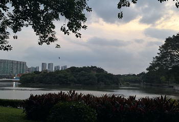 流花湖公园第 45 张图片