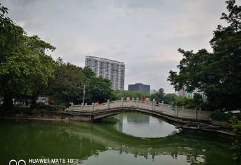流花湖公园第 49 张图片