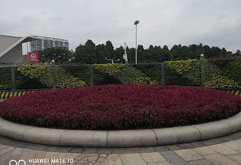 流花湖公园第 47 张图片