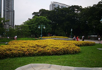 流花湖公园第 40 张图片