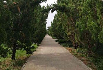 老子故里旅游区第 42 张图片