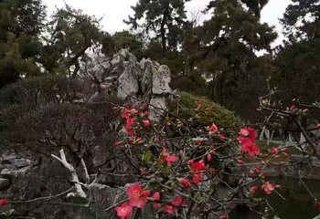 莫愁湖公园第 59 张图片