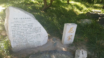北京大观园第 59 张图片
