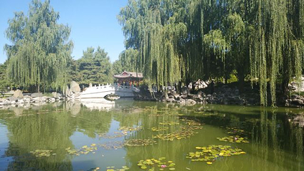 北京大观园第 57 张图片