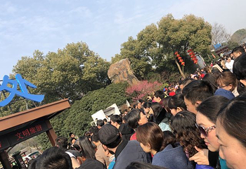 梅园第 69 张图片