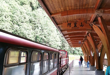 阿里山国家风景区第 63 张图片
