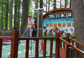 日照海滨国家森林公园第 53 张图片