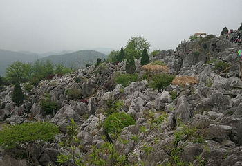 丫山花海石林第 48 张图片
