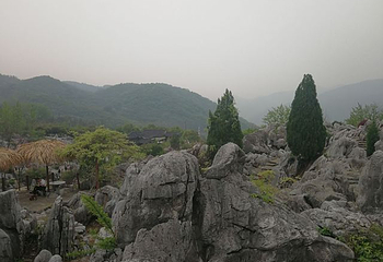 丫山花海石林第 46 张图片