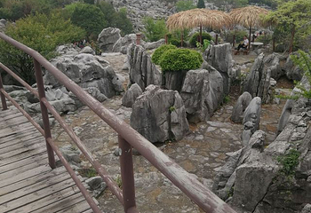 丫山花海石林第 45 张图片