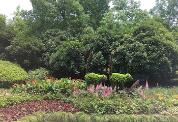 扬州古运河第 30 张图片