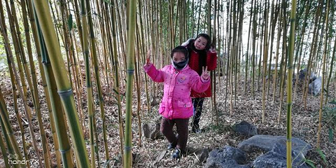 临沂动植物园第 29 张图片