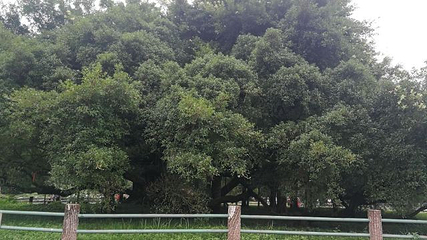 在水一汸景区第 20 张图片