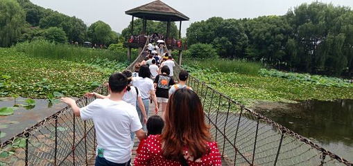 荷塘月色湿地公园第 45 张图片