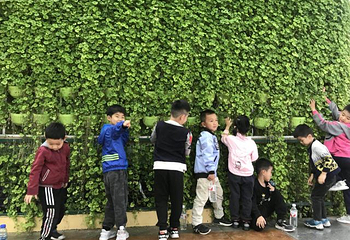寿光蔬菜高科技示范园第 20 张图片