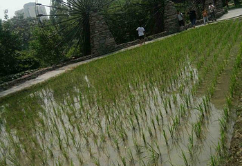 中华民族博物院第 46 张图片