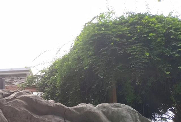 木龙湖景区第 41 张图片