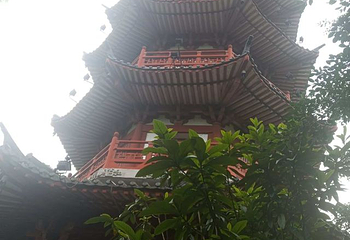 木龙湖景区第 35 张图片