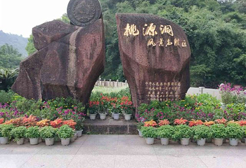 桃源洞第 41 张图片