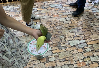 上海大自然野生昆虫馆（东方明珠•爬宠昆虫探索中心）第 67 张图片