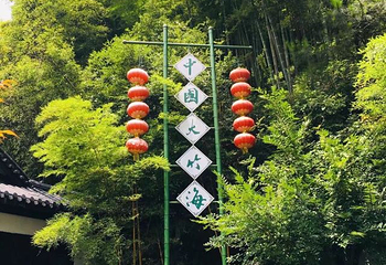 中国大竹海景区第 64 张图片