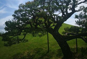 息烽集中营革命历史纪念馆第 44 张图片
