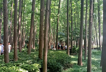 连云山大峡谷第 19 张图片
