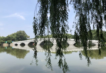 清昭陵第 66 张图片