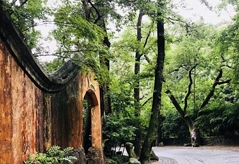 国清景区第 34 张图片