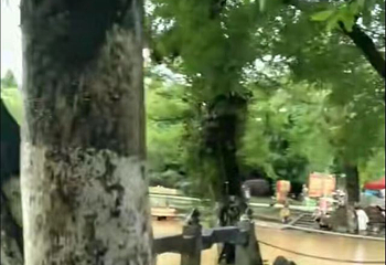 灵渠第 40 张图片