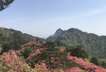 龟峰山景区第 49 张图片
