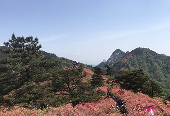 龟峰山景区第 48 张图片