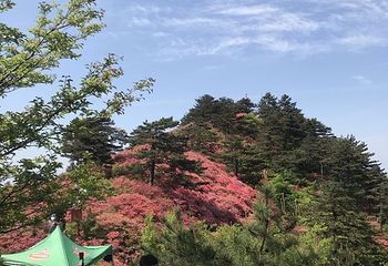 龟峰山景区第 47 张图片