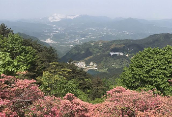龟峰山景区第 46 张图片