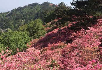 龟峰山景区第 45 张图片